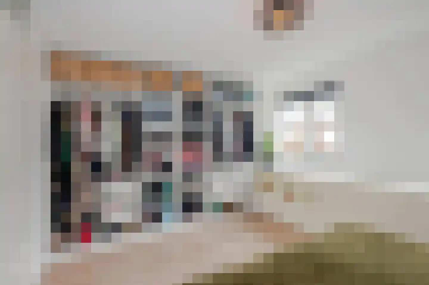 Strijplaan 533 Rijswijk thumbnail 44