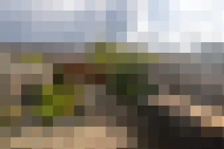 Strijplaan 84 Rijswijk thumbnail 17