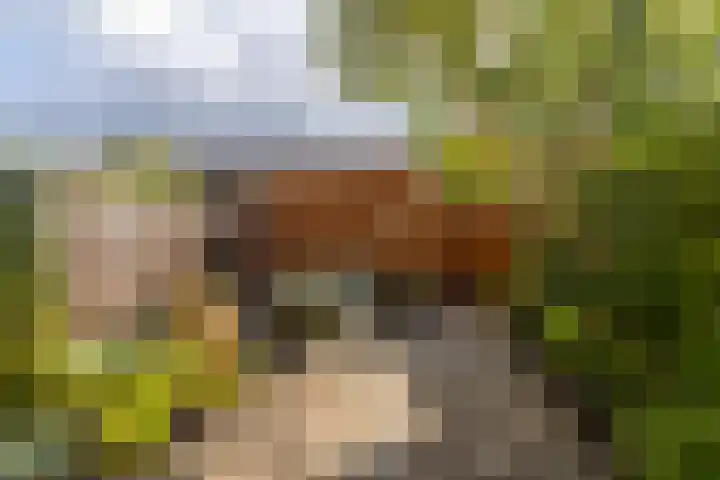 Strijplaan 84 Rijswijk thumbnail 18