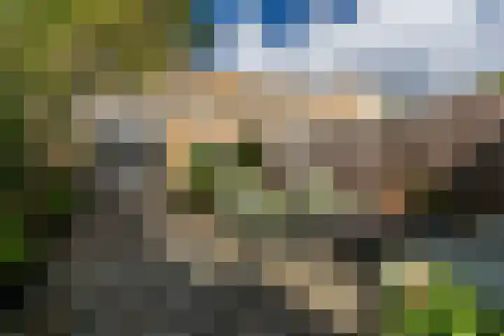 Strijplaan 84 Rijswijk thumbnail 20