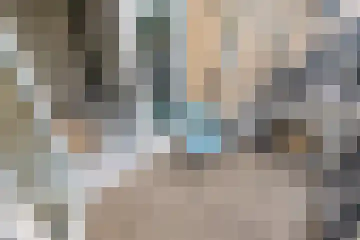 Strijplaan 84 Rijswijk thumbnail 26