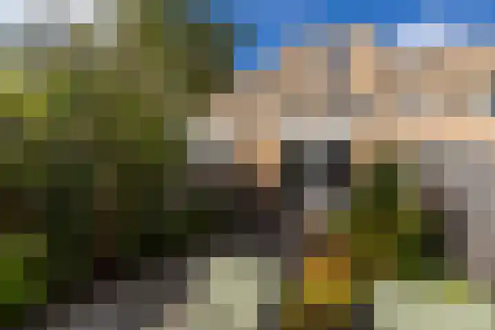 Strijplaan 84 Rijswijk thumbnail 4