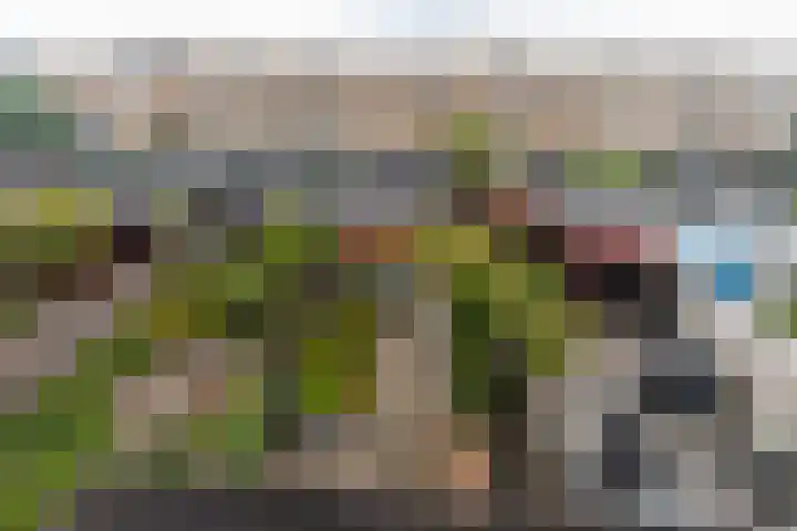 Strijplaan 84 Rijswijk thumbnail 40