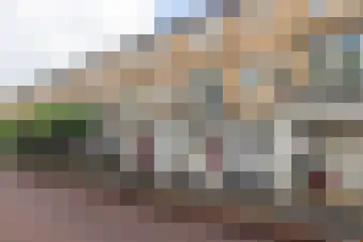 Strijplaan 84 Rijswijk thumbnail 43