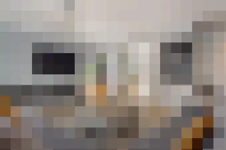 Strijpsebaan 2 Veldhoven thumbnail 11