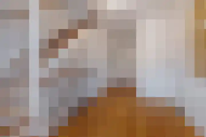 Strijpsebaan 2 Veldhoven thumbnail 30
