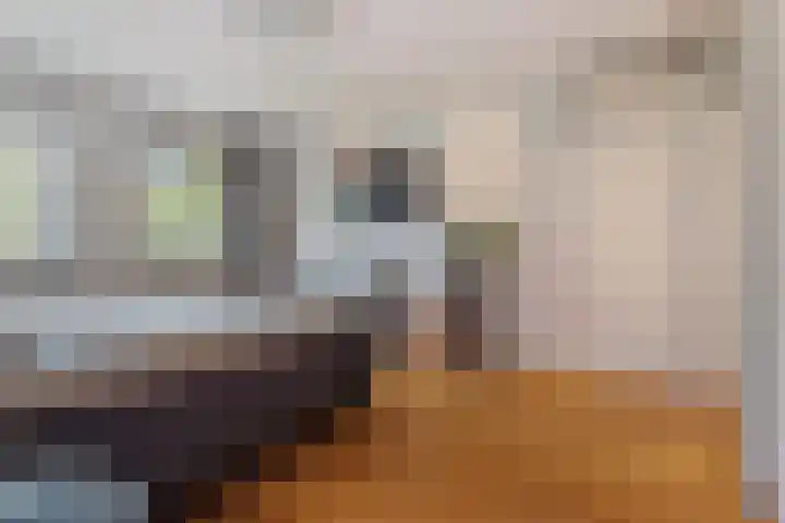 Strijpsebaan 2 Veldhoven thumbnail 32