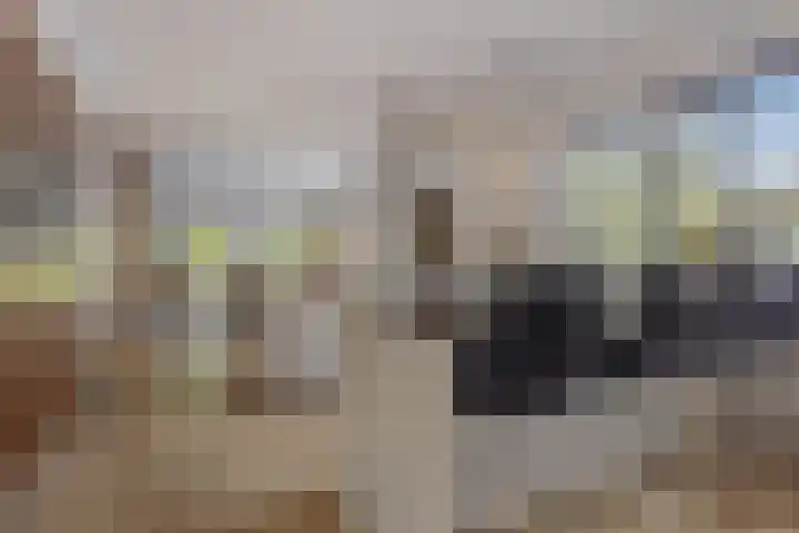 Strijpsebaan 2 Veldhoven thumbnail 4