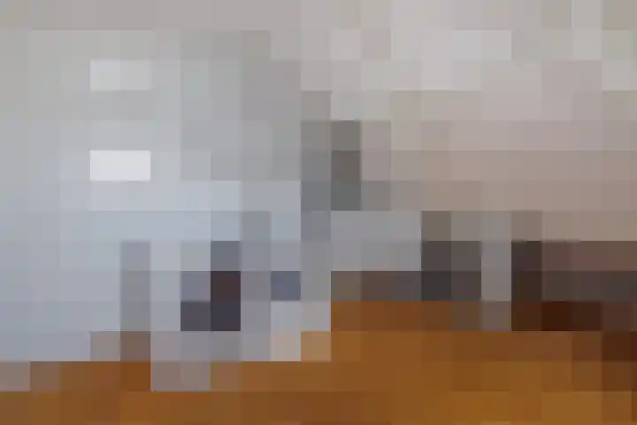 Strijpsebaan 2 Veldhoven thumbnail 51