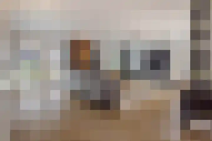 Strijpsebaan 2 Veldhoven thumbnail 9