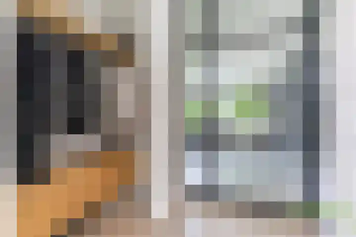 Strijpsebaan 23 Veldhoven thumbnail 12