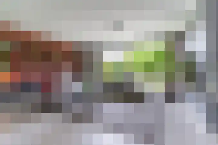 Strijpsebaan 23 Veldhoven thumbnail 16