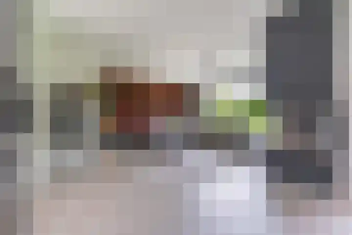 Strijpsebaan 23 Veldhoven thumbnail 17