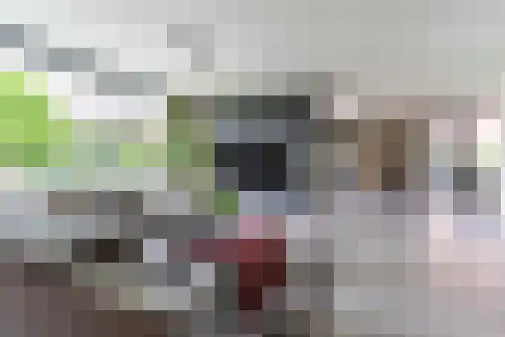 Strijpsebaan 23 Veldhoven thumbnail 18