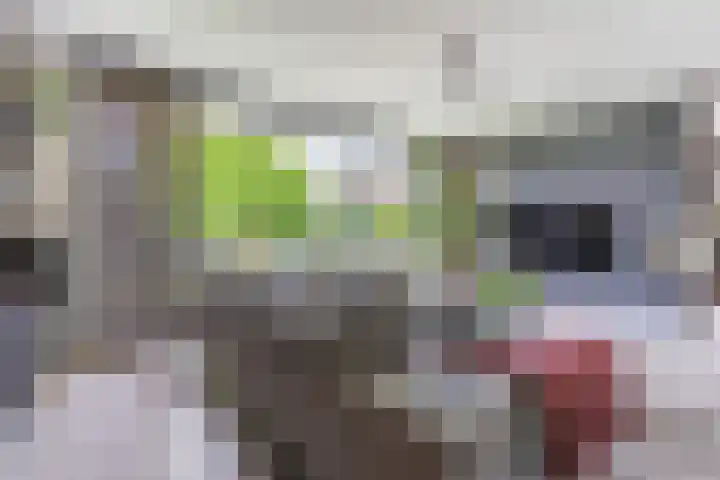 Strijpsebaan 23 Veldhoven thumbnail 19