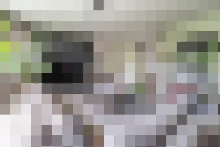 Strijpsebaan 23 Veldhoven thumbnail 20