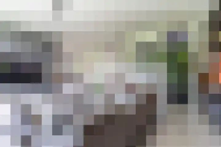 Strijpsebaan 23 Veldhoven thumbnail 21