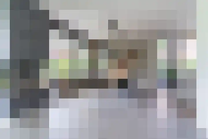 Strijpsebaan 23 Veldhoven thumbnail 23