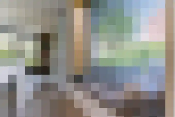 Strijpsebaan 23 Veldhoven thumbnail 24