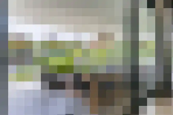 Strijpsebaan 23 Veldhoven thumbnail 25