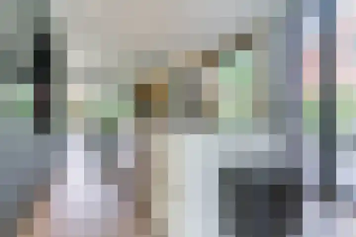 Strijpsebaan 23 Veldhoven thumbnail 29