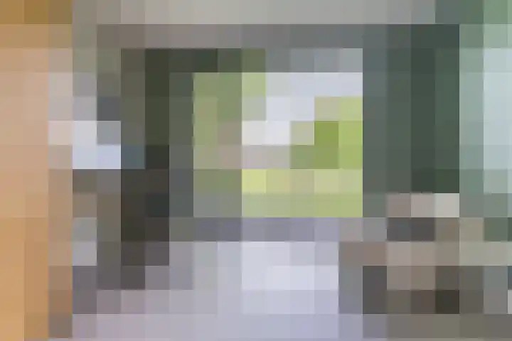 Strijpsebaan 23 Veldhoven thumbnail 31