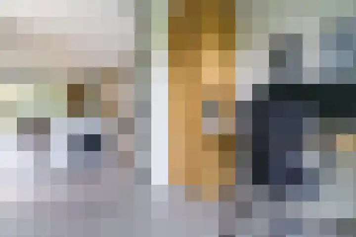Strijpsebaan 23 Veldhoven thumbnail 32