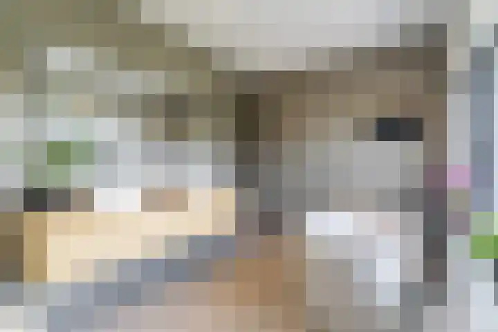 Strijpsebaan 23 Veldhoven thumbnail 39