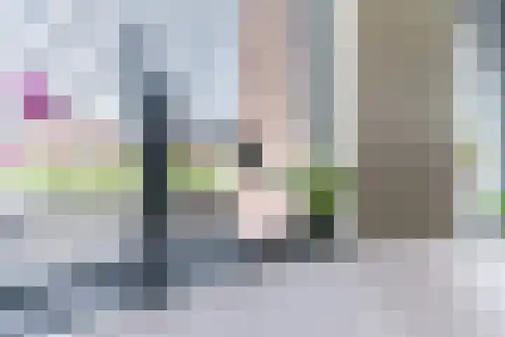Strijpsebaan 23 Veldhoven thumbnail 49