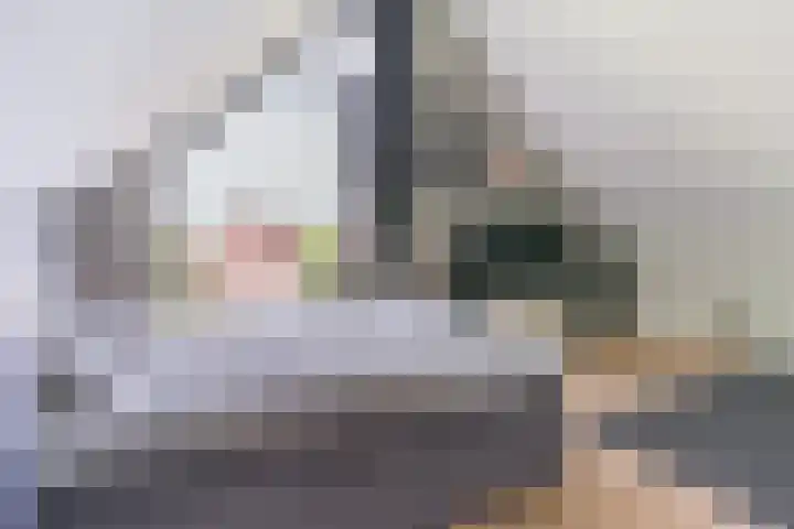 Strijpsebaan 23 Veldhoven thumbnail 56
