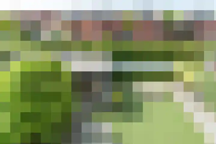 Strijpsebaan 23 Veldhoven thumbnail 59