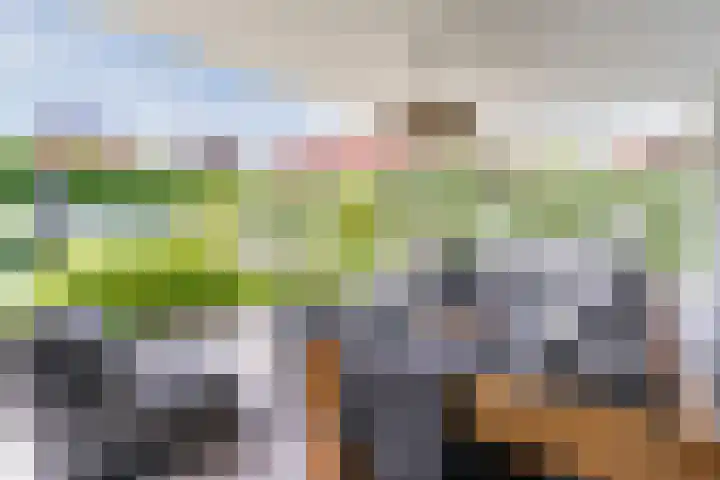 Strijpsebaan 23 Veldhoven thumbnail 60