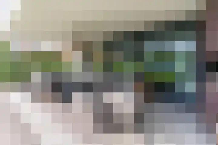Strijpsebaan 23 Veldhoven thumbnail 61