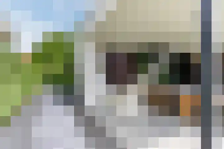Strijpsebaan 23 Veldhoven thumbnail 62