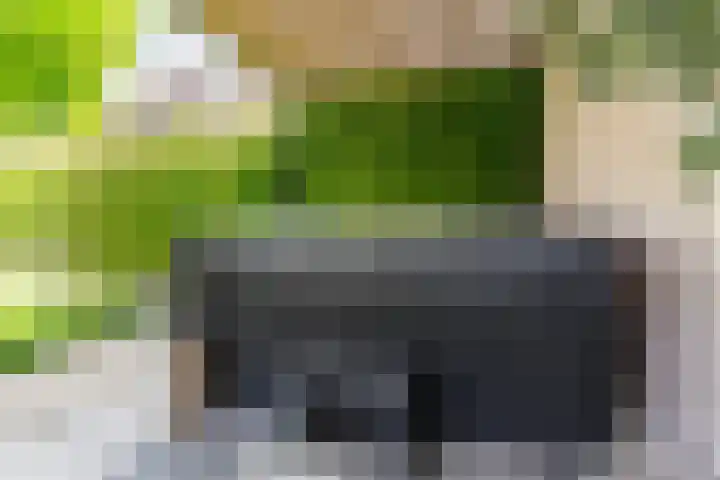 Strijpsebaan 23 Veldhoven thumbnail 64