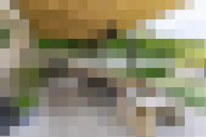 Strijpsebaan 23 Veldhoven thumbnail 65