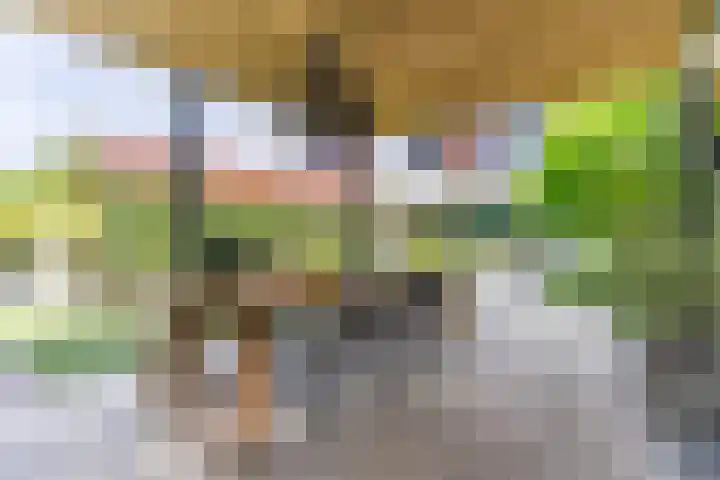 Strijpsebaan 23 Veldhoven thumbnail 66