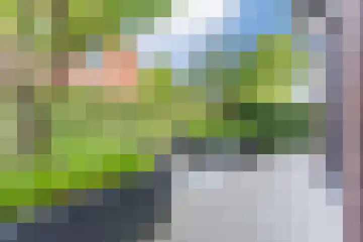 Strijpsebaan 23 Veldhoven thumbnail 68