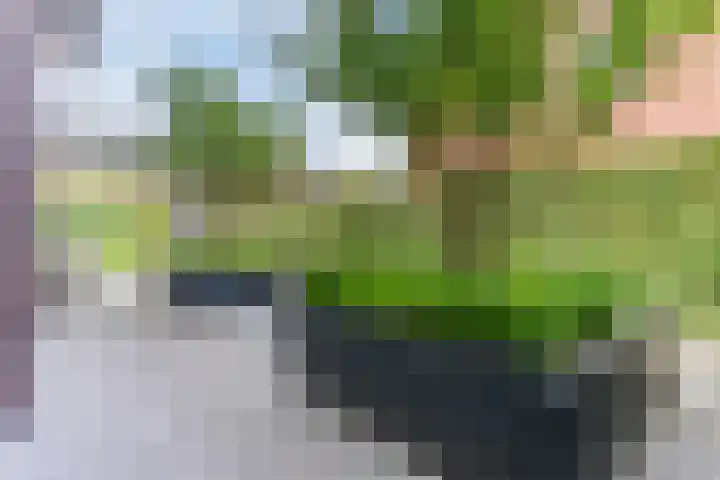 Strijpsebaan 23 Veldhoven thumbnail 69
