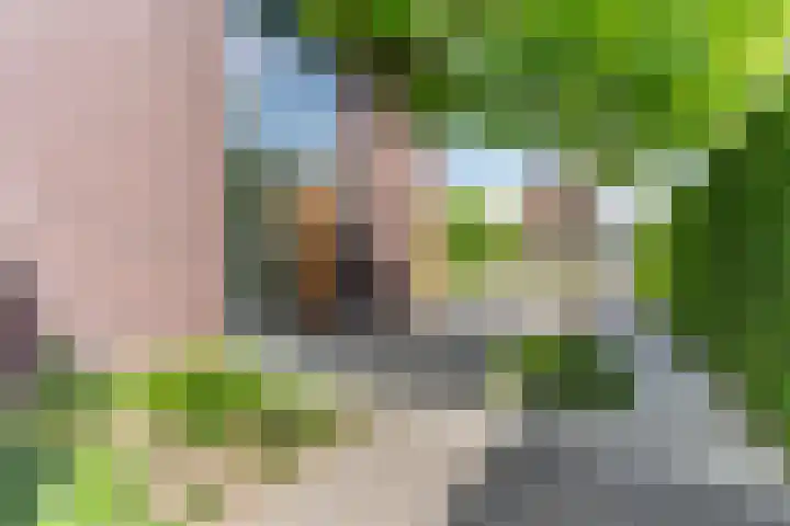 Strijpsebaan 23 Veldhoven thumbnail 7
