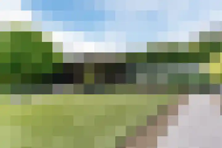 Strijpsebaan 23 Veldhoven thumbnail 70