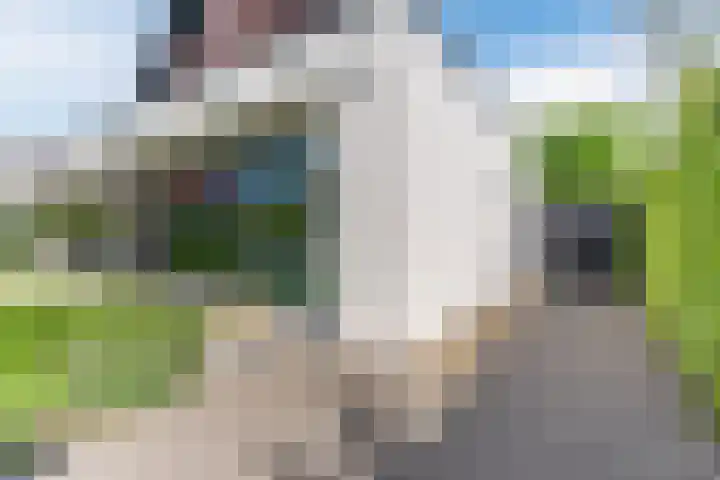 Strijpsebaan 23 Veldhoven thumbnail 73