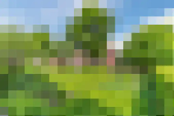 Strijpsebaan 23 Veldhoven thumbnail 77