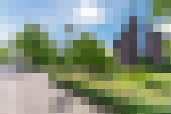 Strijpsebaan 23 Veldhoven thumbnail 79