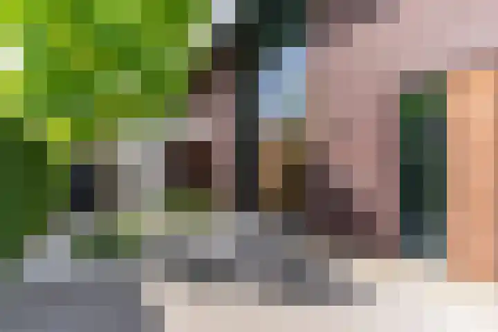 Strijpsebaan 23 Veldhoven thumbnail 8