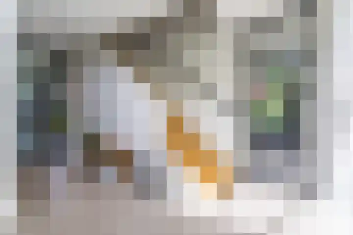 Strijpsebaan 23 Veldhoven thumbnail 9