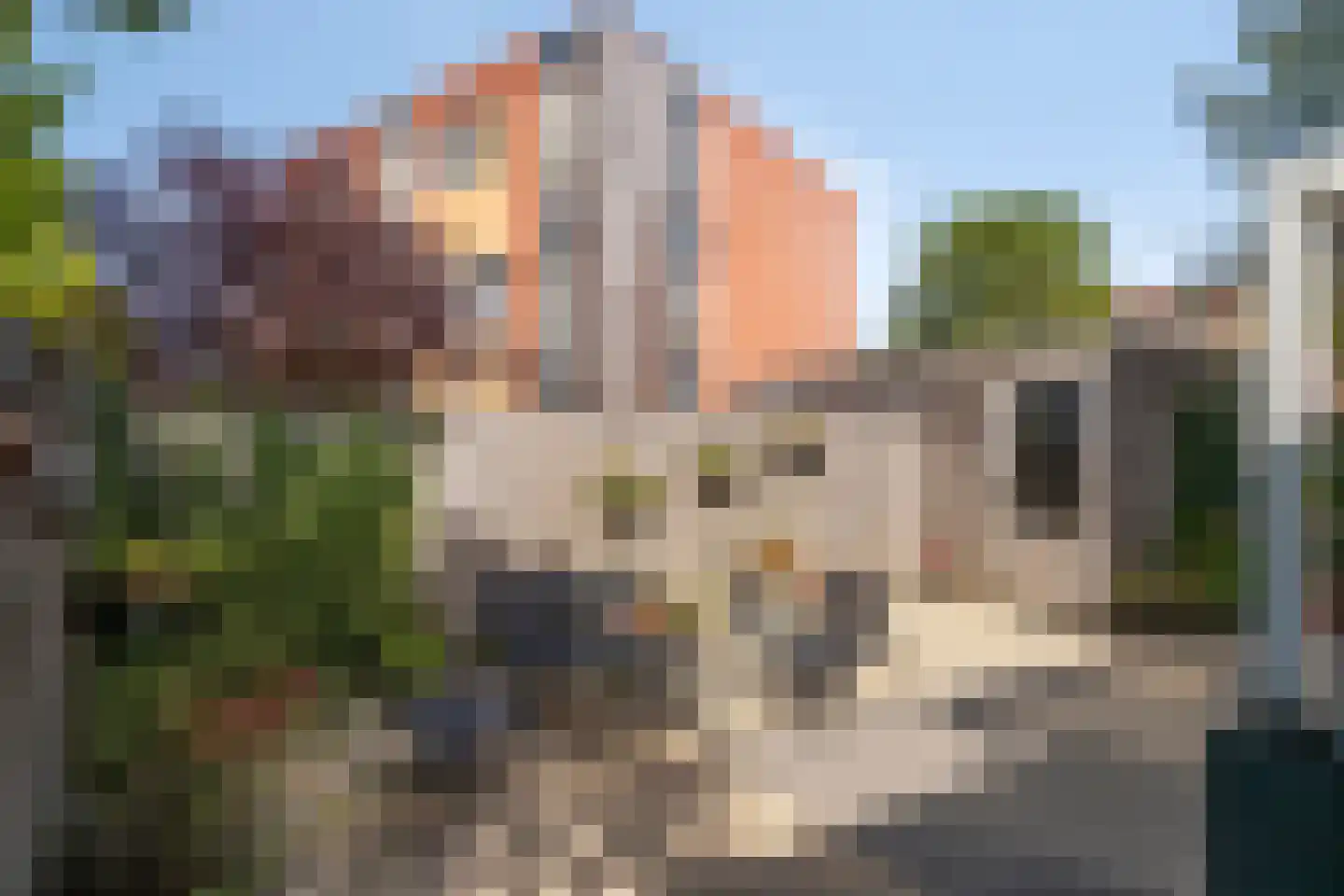 Strijpsebaan 52 Veldhoven thumbnail 26