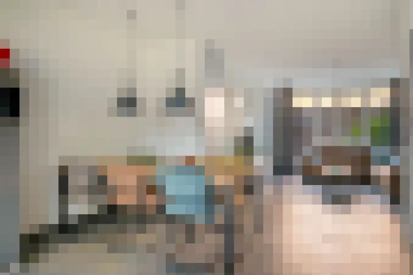 Strijpsebaan 64 Veldhoven thumbnail 9