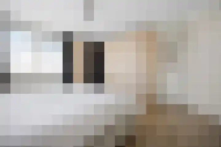 Strijpsel 19 Sint-Michielsgestel thumbnail 21