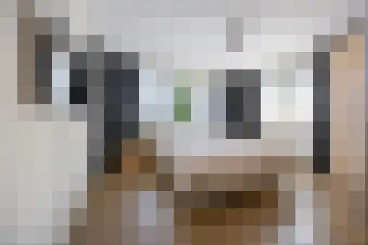 Strijpsel 19 Sint-Michielsgestel thumbnail 22